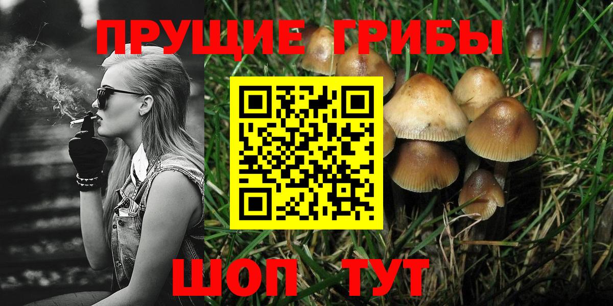 Галлюциногенные грибы Psilocybine cubensis Магнитогорск